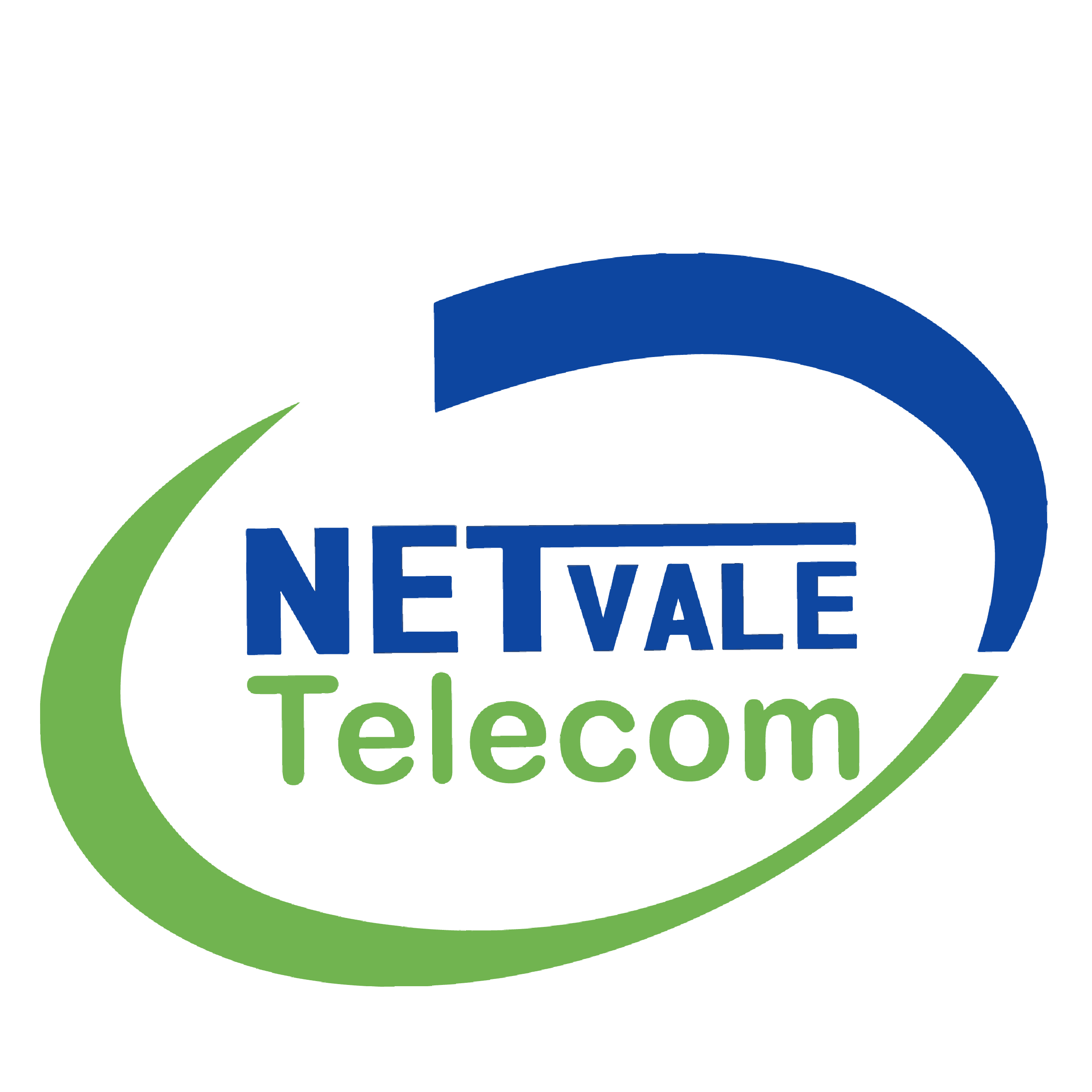 NetVale Logo